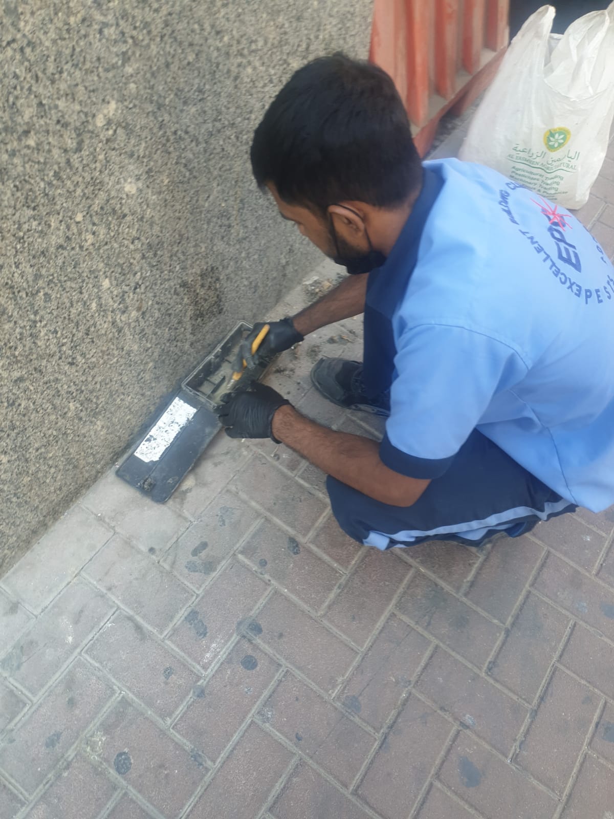 services1 JPEG File (.jpeg)